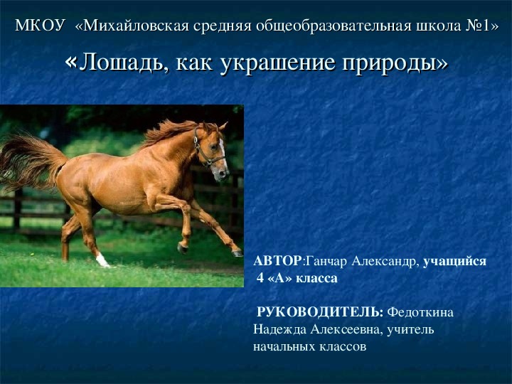 Исследовательская работа "Лошади как украшение природы"