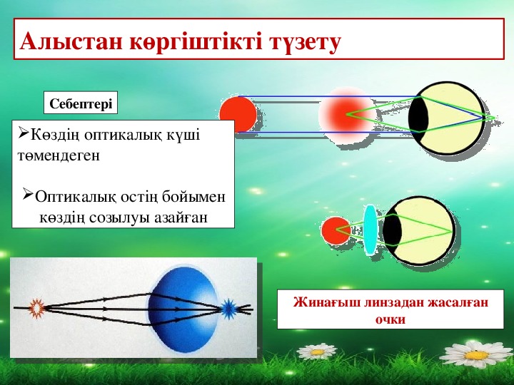 Геометриялық оптика заңдары 11 сынып физика