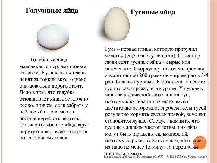 Можно ли сажать яйца. Утиные и гусиные яйца. Гусиное и куриное яйцо. Диаметр гусиного яйца. Диаметр куриного яйца.