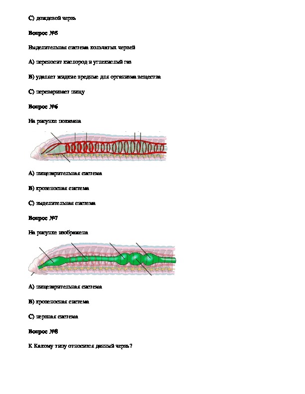 Тесты по червям 7. Типы плоские черви круглые черви кольчатые черви тест. Тест по плоским червям. Проверочный тест по теме типы плоские круглые и кольчатые черви. Тест по теме сравнение типов червей.