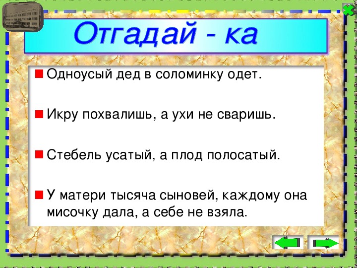 Ты сын тысячной. Мать тысяч. Ответ на загадку что дает своим детям отец а что недает мать.