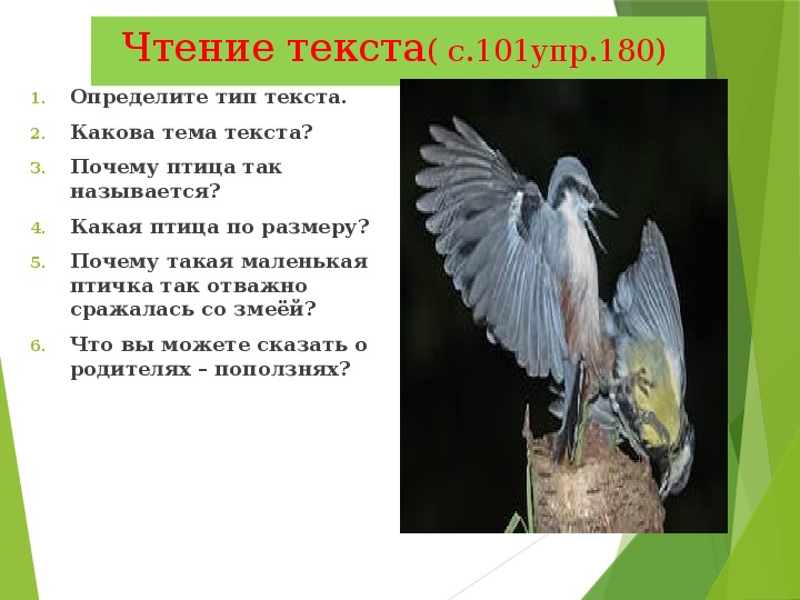 Поползень изложение 4 класс презентация название.