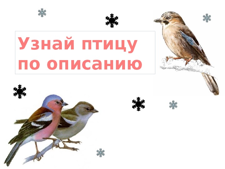 Узнай птицу по описанию (презентация 2 класс)