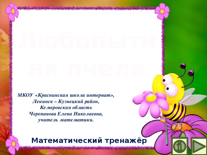 Обложка для материала Презентация по математике "Любопытная пчела.  Математический тренажёр"
