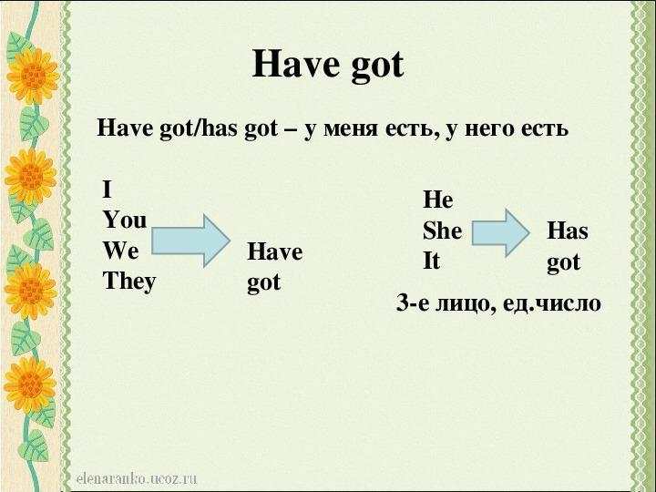 Have got has got презентация