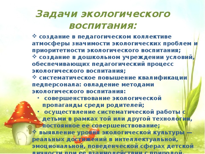 Экологическое воспитание дошкольников в повседневной жизни презентация