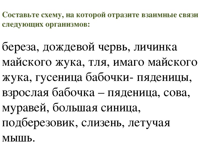 Составьте схему на которой отразите взаимные связи следующих организмов