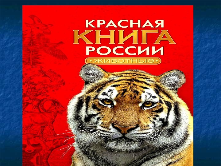 Презентация по экологии на тему "Животные Красной Книги"