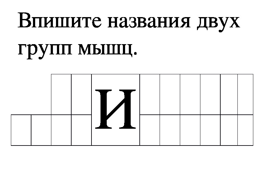 Тема: Работа мышц утомление