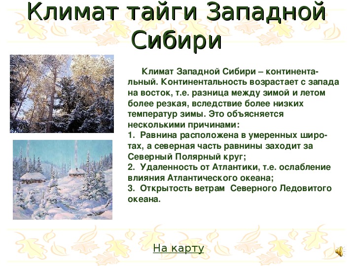 Какой климат в тайге название. Западно Сибирская Тайга климат. Особенности сибирской тайги. Климатическая характеристика тайги.