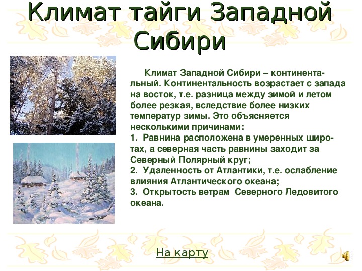 Климатические характеристики тайги