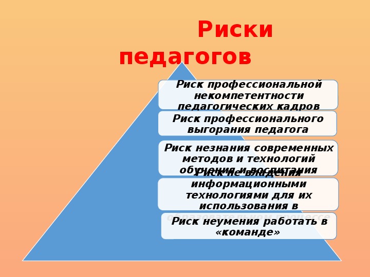 Риски проекта в доу