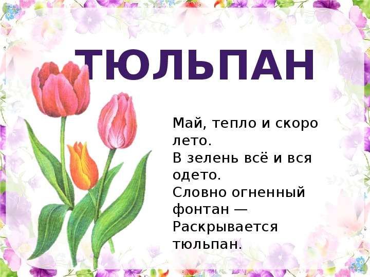 Проект цветочный алфавит 5 класс