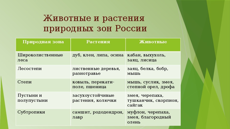 Характеристики животных природных зон. Природные зоны растения и животные таблица. Растения природных зон Росси.