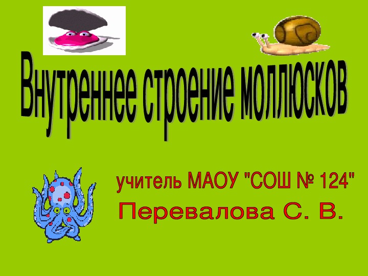 Презентация "Внутреннее строение моллюсков" 7 класс