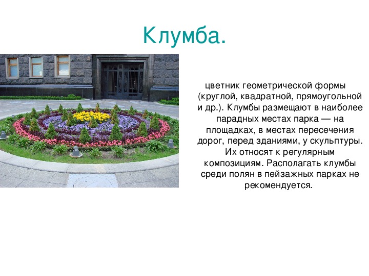 Проект клумбы 1 класс