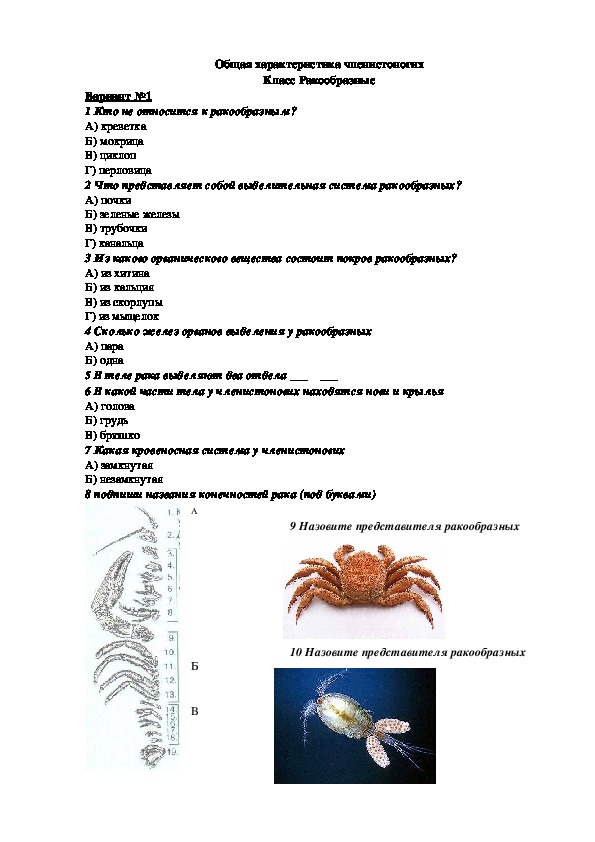 Тест по биологии на тему "Класс  Ракообразные" (7 класс, биология)