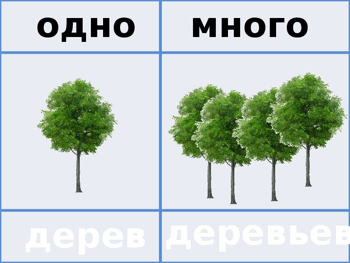 Тема много