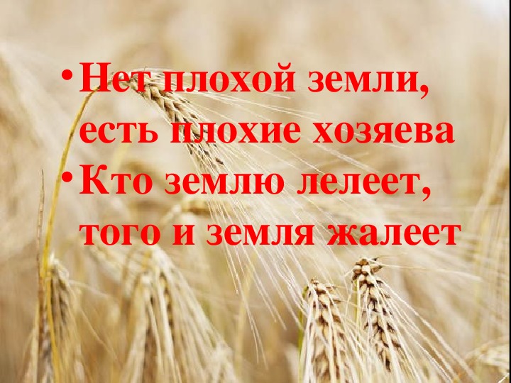 Земля кормилица 4 класс окружающий мир ответы. Стихи о земле кормилице. Земля кормилица презентация. Земля наша кормилица презентация. Земля кормилица 4 класс.