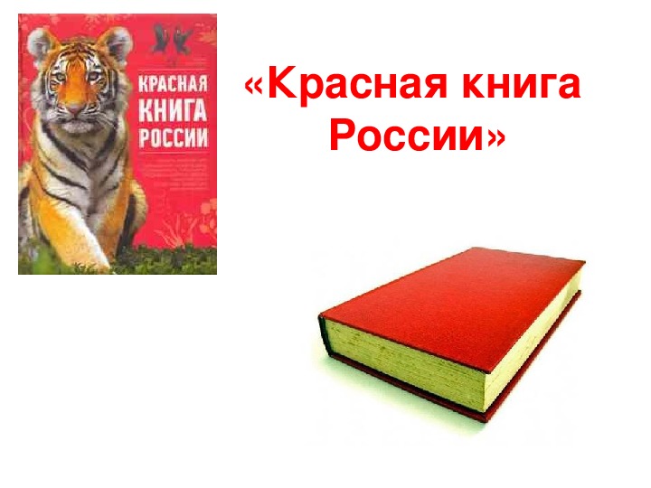 Презентация на тему: "Красная книга России"
