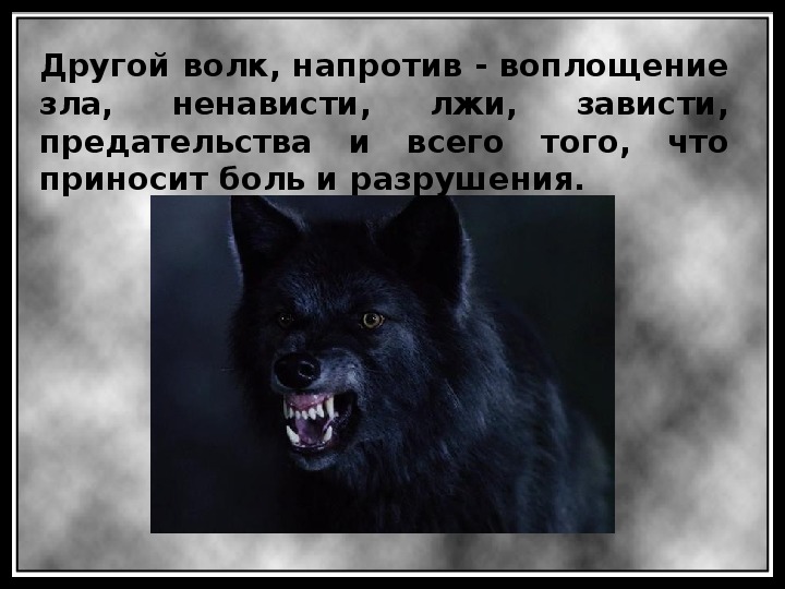 Ненавижу волков. Воплощение зла и ненависти. Картинки с волками о предательстве.