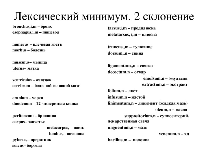 Минимальной текст. Лексический минимум по латыни для медиков. Лексический минимум по латинскому. Лексический минимум латинский. Лексические минимумы по латинскому языку.