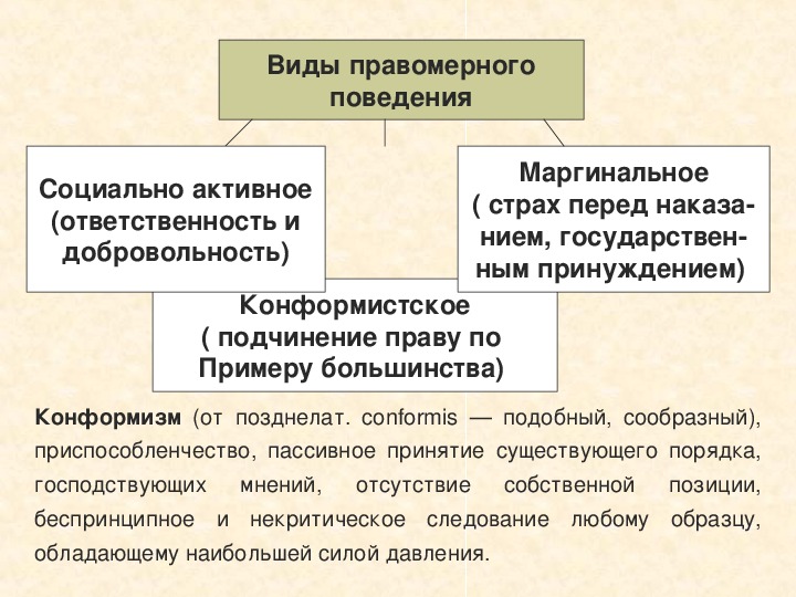 Правомерное поведение план по обществознанию