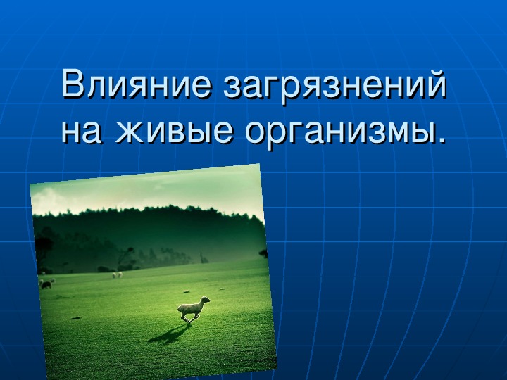 Окружающее много. Влияние загрязнений на живые организмы. Презентация на тему влияние загрязнений на живые организмы. Влияние загрязнителей на живые организмы.. Влияние загрязнения окружающей среды на живые организмы.