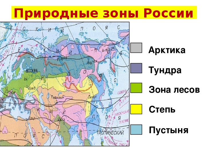 Проект по биологии природные зоны россии