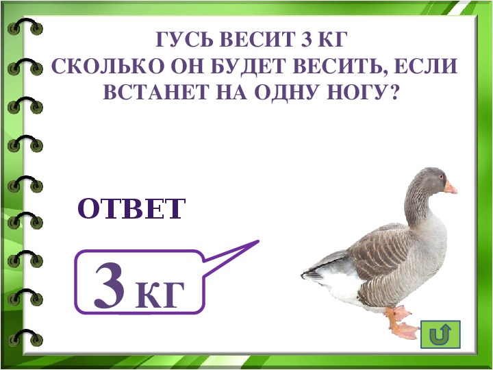 Гусь сколько соли. Сколько весит Гусь. Вес гуся. Гусь стоит на одной ноге.