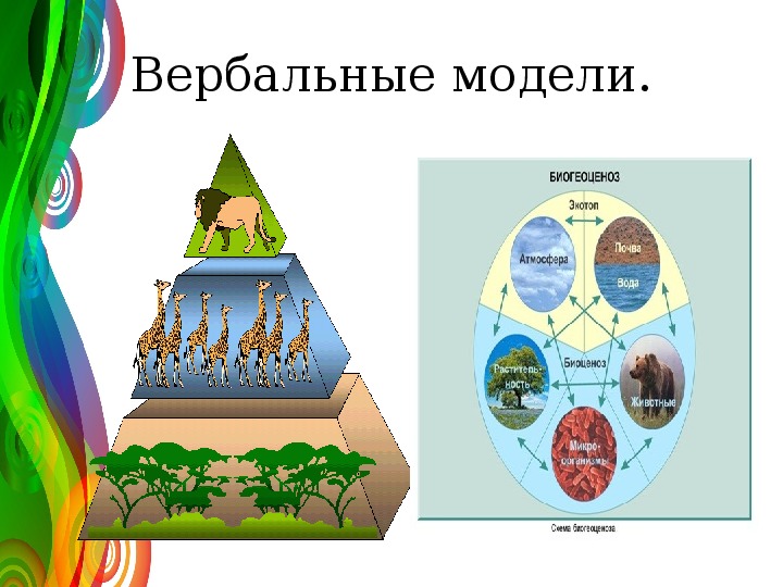 Экология 11 класс. Вербальные модели в экологии. Вербальная модель и математическая в экологии. Экологическая модель примеры Информатика.