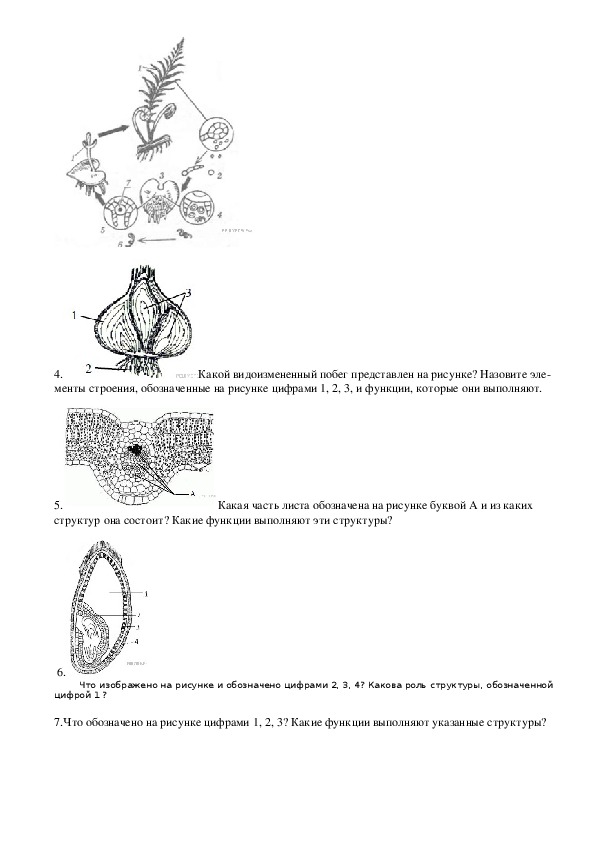 Биология задания картинки