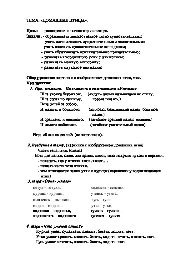 Обложка для материала ТЕМА: «ДОМАШНИЕ ПТИЦЫ».