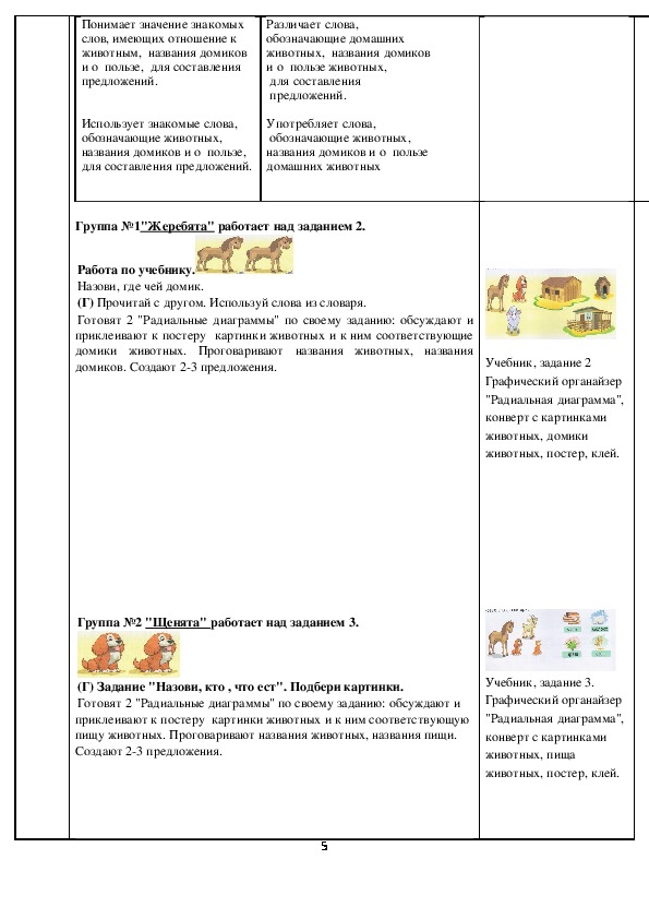 Поурочный план по русскому языку на тему "Наши домашние животные" (1 класс с казахским языком обучения)
