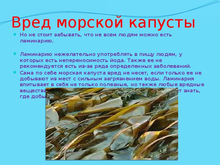 Морские водоросли вред