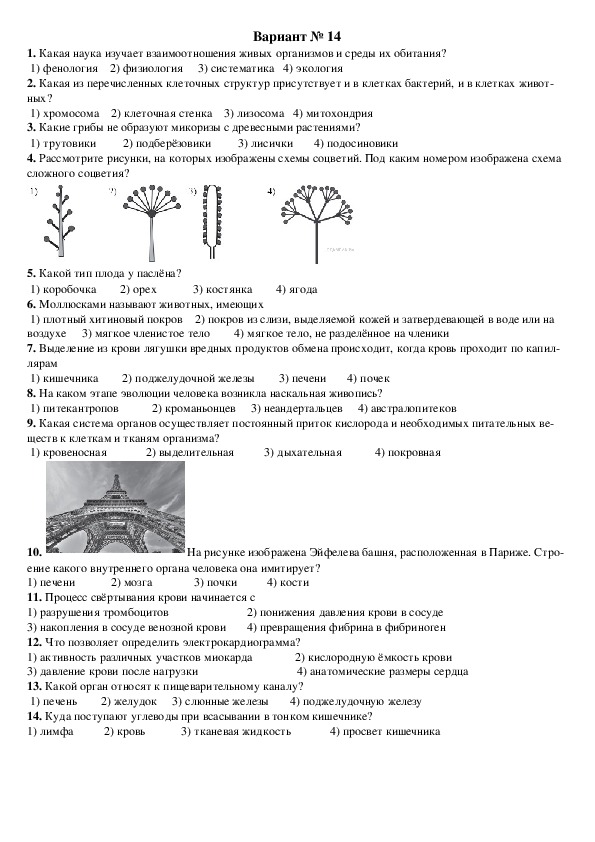 ОГЭ. Биология. Вариант № 14