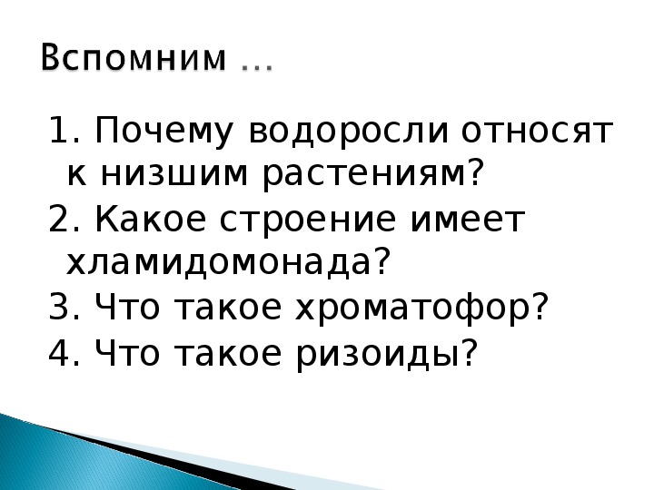 Водоросли относятся к растениям. Почему водоросли низшие растения.