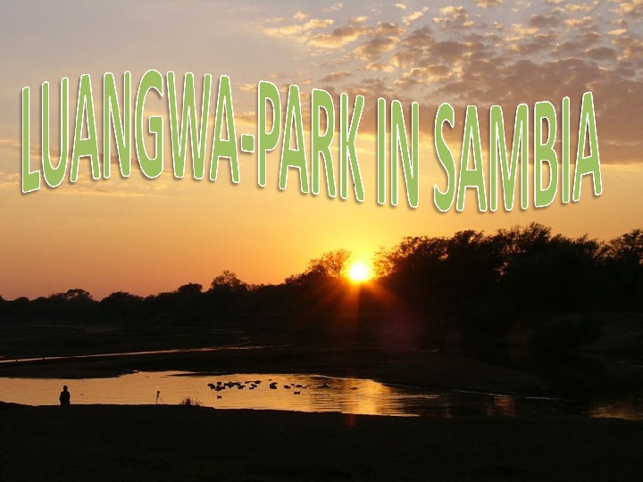 Презентация "Der Luangwa-Park in Sambia" (7-8 класс немецкий язык)