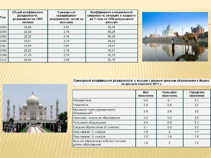 Демографическая политика индии и китая проект