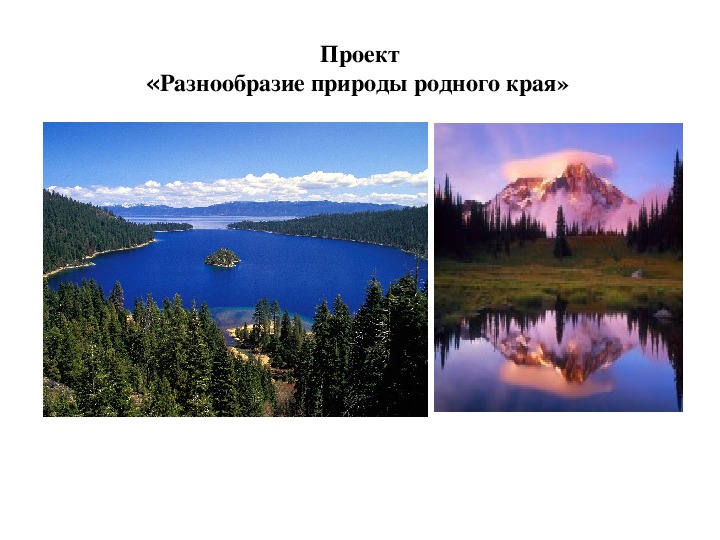 Разнообразие природы родного края 3 класс проект