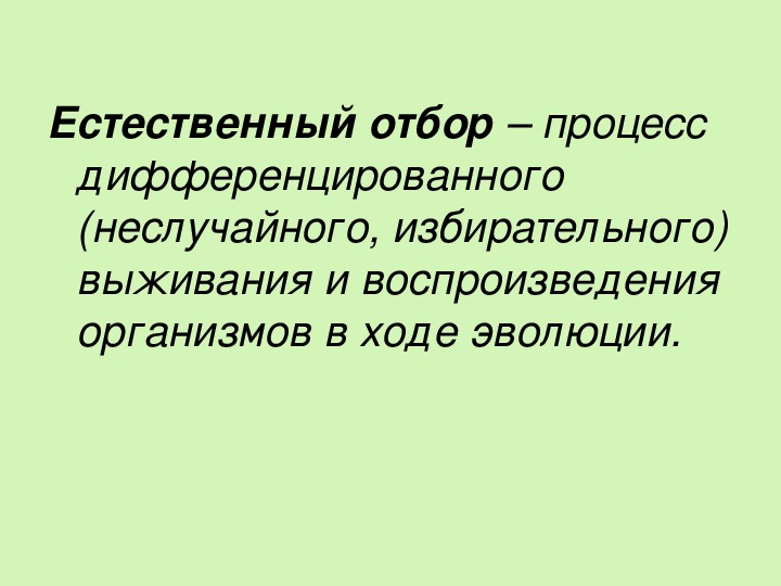 Естественный отбор презентация 9 класс биология