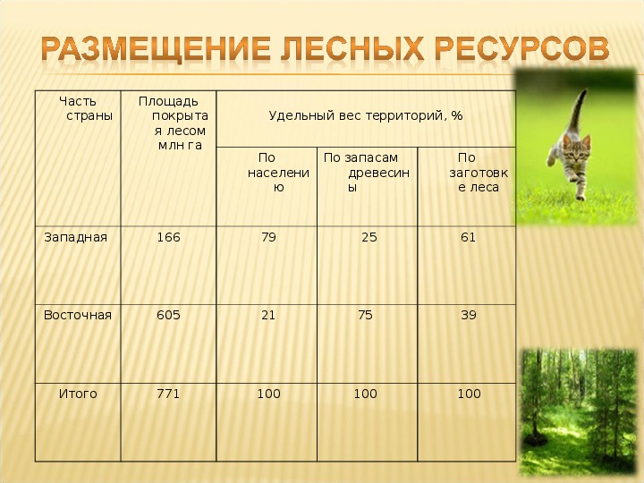 Лесные ресурсы мира и россии презентация