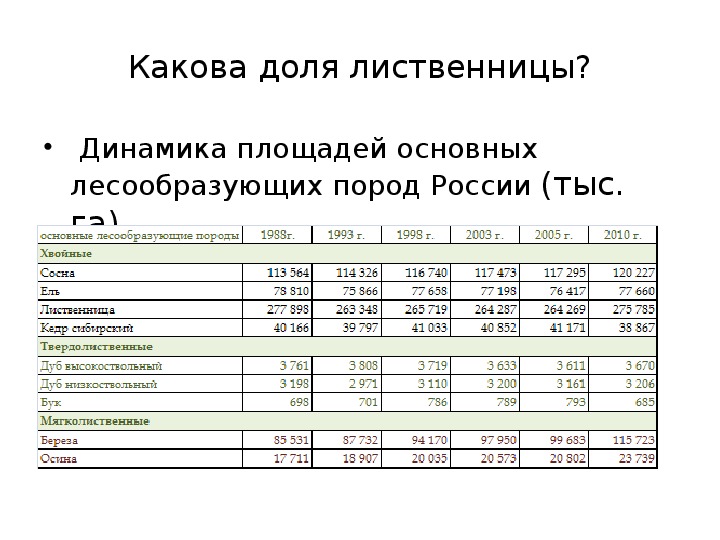 Основные лесообразующие породы. Лесообразующие породы России. Главные лесообразующие породы России.