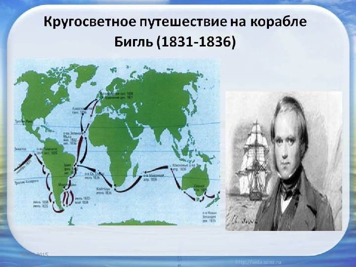 Ч дарвин кругосветное путешествие. Кругосветное путешествие Дарвина на корабле Бигль. Путешествие ч Дарвина на корабле Бигль. Карта путешествия Чарльза Дарвина на корабле Бигль.