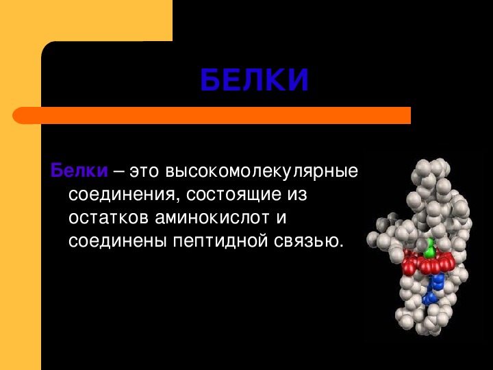 Презентация по теме белки