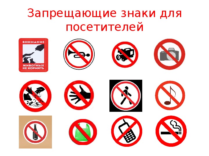 20 апреля что можно и нельзя делать. Правила проведения в зоопарке. Запрещающие знаки в зоопарке. Правила поведения в зоопарке. Запрещающие знаки поведения в зоопарке.