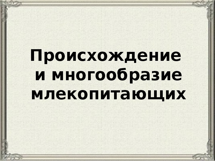 Презентация по биологии "Происхождение и развитие млекопитающих" (10 класс)