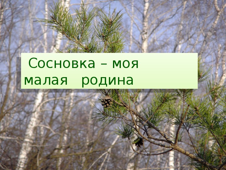 Обложка для материала презентация "Моя малая родина - Сосновка"