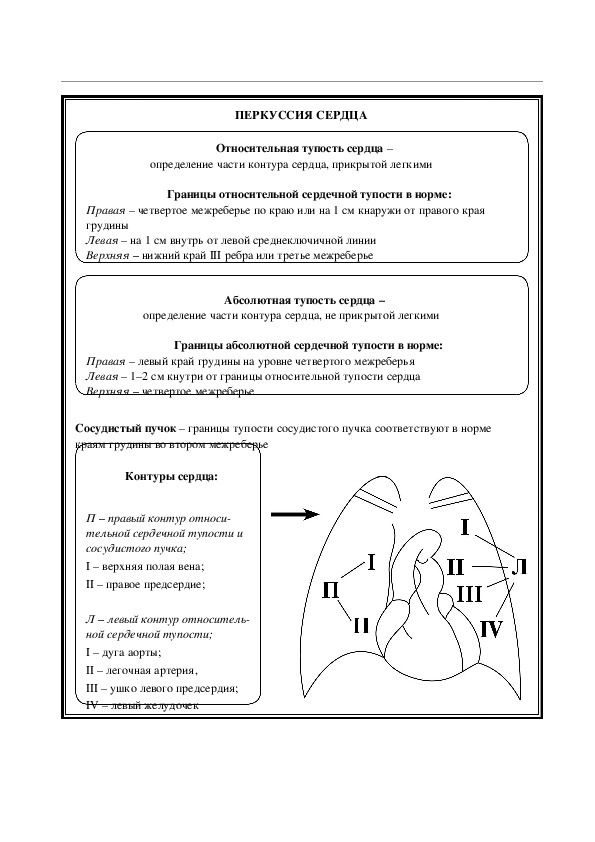 ПЕРКУССИЯ СЕРДЦА