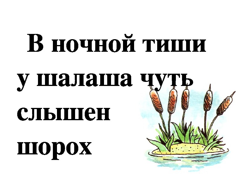 В шалаше шуршит шелками. Шорох камыша. Слышен шорох в камышах. Скороговорки про камыши. Камышам пищала мышь.